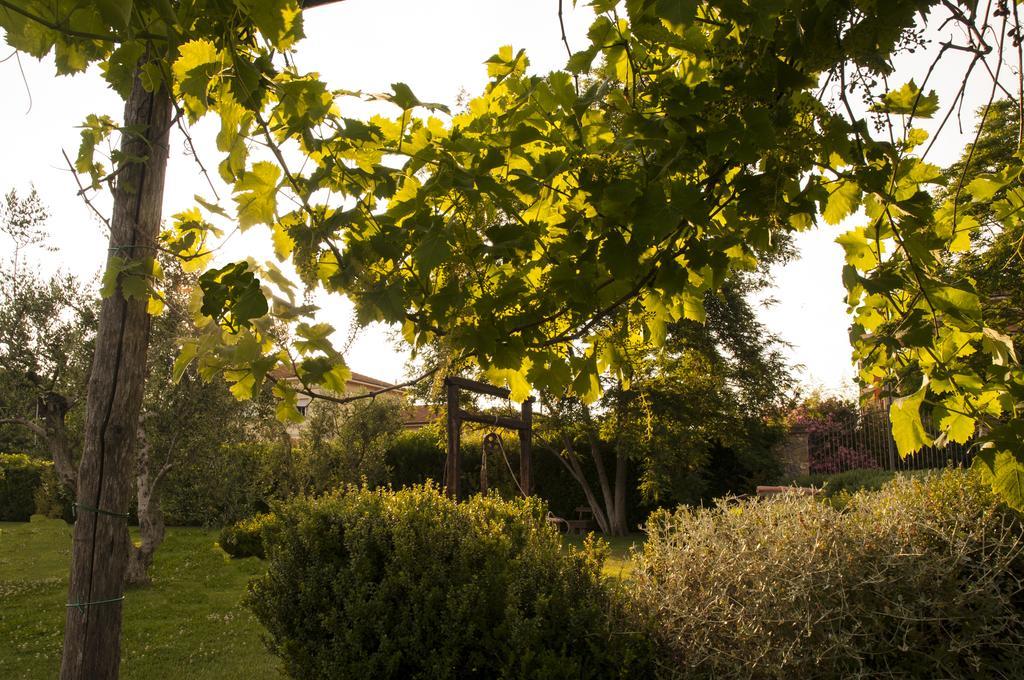 Podere Turicchio Orbetello Eksteriør bilde